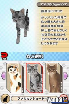 download free gatos nintendo