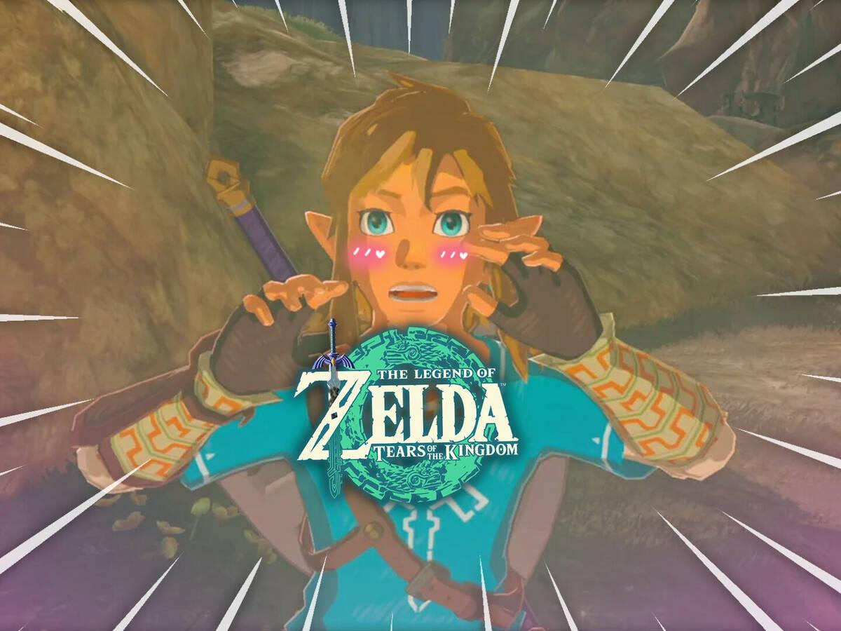 Un vídeo de Zelda Tears of the Kingdom se hace viral por mostrar las partes  íntimas de Link - Vandal