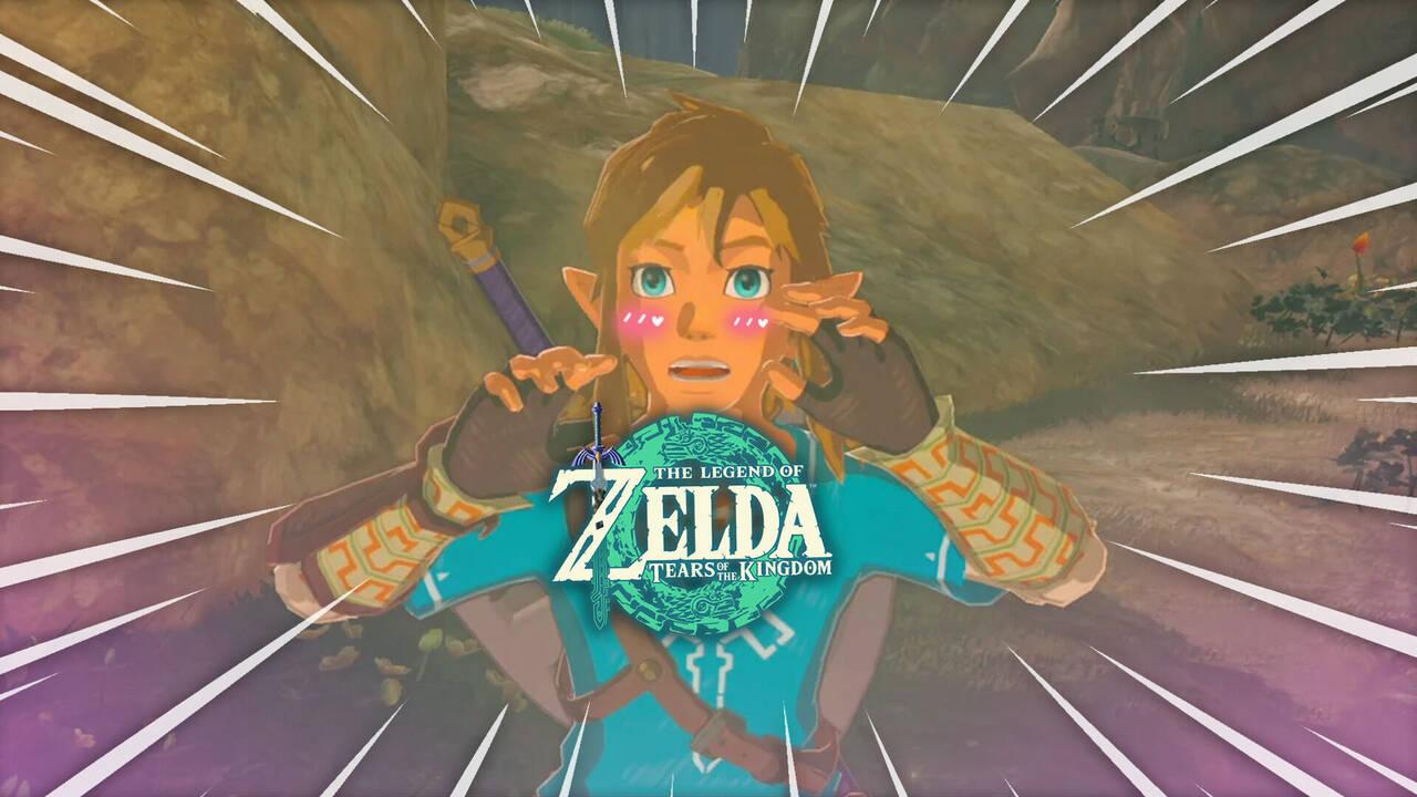 Un vídeo de Zelda Tears of the Kingdom se hace viral por mostrar las partes  íntimas de Link - Vandal