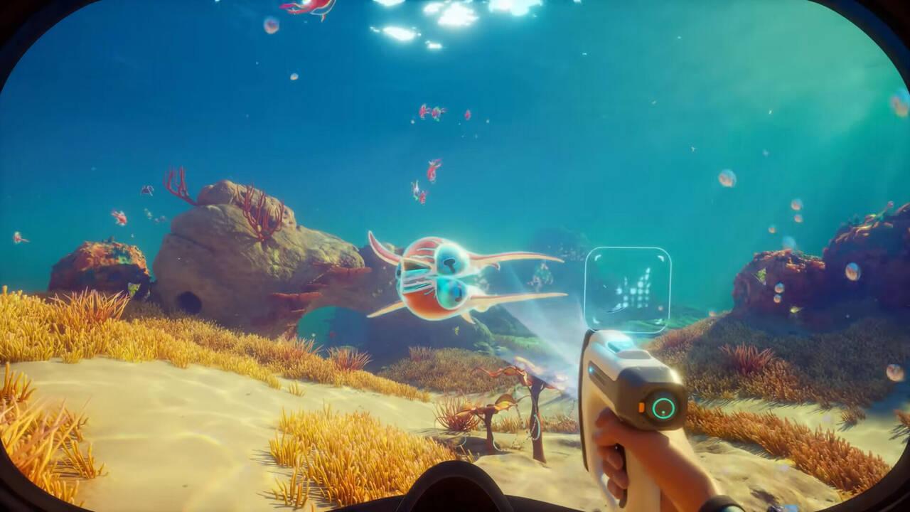 Thegreatwave101 nude leaks id tried to reach her