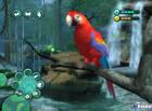 Sé el veterinario del zoo, también en Wii