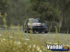 Anunciado Colin McRae Rally 2005