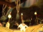 Nuevas imágenes de Arthur and the Minimoys
