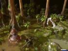 Nuevas imágenes de WorldShift