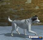Sony Europa anuncia Dog's Life