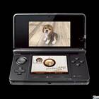 E3: Nintendo muestra Nintendogs + Cats