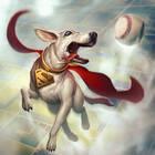 Krypto se une a la batalla en Infinite Crisis