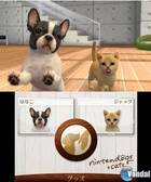 Nuevas imágenes de Nintendogs + Cats