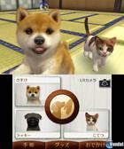 Nuevas imágenes de Nintendogs + Cats