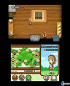 Primeras imágenes de Harvest Moon: The Tale of Two Towns