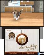 Nuevas imágenes de Nintendogs + Cats