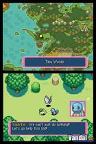 Imágenes de Pokémon Mystery Dungeon: Blue Rescue Team