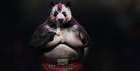Beyond Good & Evil 2 nos presenta a un nuevo personaje con forma de panda
