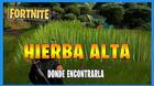 Fortnite T1 C3: �d�nde est� la hierba alta?