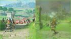 Hyrule Warriors Breath of the Wild hierba