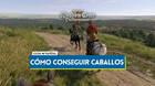 Kingdom Come Deliverance 2: C�mo conseguir un caballo y mejorar tu montura