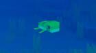 Minecraft rediseña varias criaturas marinas bebé y anuncia un nuevo objeto para mantenerlas siempre como crías.