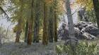 Un mod para Skyrim recrea los bosques del juego con distintos árboles reales