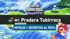 Mundo 1 Pradera Tubirroca al 100% en Super Mario Bros. Wonder: Niveles y secretos