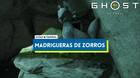 Todas las madrigueras de zorros en Ghost of Yotei y localizaci�n