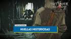 Huellas misteriosas al 100% en The Witcher 3: Wild Hunt - Remastered