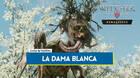 La Dama Blanca al 100% The Witcher 3: Wild Hunt - Remastered