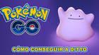Pokmon GO: Cmo capturar a Ditto fcilmente? (Actualizado)