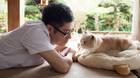 El juego de móviles Neko Atsume tendrá película