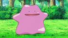 ¿Cómo y dónde capturar a Ditto en Pokémon Espada y Escudo?