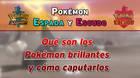 Pokémon brillantes / aurales en Espada y Escudo: ¿Qué son y cómo se consiguen?