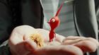 Pikmin Bloom en Europa