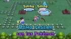 C�mo sacar a pasear a tus Pok�mon en Diamante Brillante y Perla Reluciente