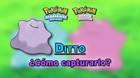 Capturar a Ditto f�cil y 5 IV's en Pok�mon Diamante Brillante y Perla Reluciente