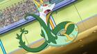 Desvelado el código para desbloquear un Serperior especial en Pokémon Rubí Omega y Zafiro Alfa
