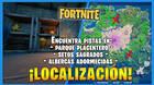 Fortnite: Encuentra pistas en Parque Placentero, Setos Sagrados y Albercas Adormecidas