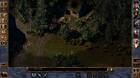 Baldur's Gate: Enhanced Edition se muestra en nuevas imágenes