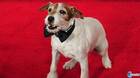 El perro de la película The Artist ficha por Nintendo