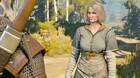 Defensor de la fe - The Witcher 3: Wild Hunt