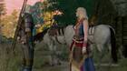 Un favor para un amigo - The Witcher 3: Wild Hunt