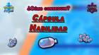 Cómo conseguir y para qué sirve la Cápsula Habilidad en Pokémon Espada y Escudo