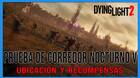 Prueba de corredor nocturno V en Dying Light 2 al 100%