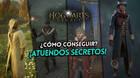 Hogwarts Legacy: Cmo conseguir los atuendos secretos, requisitos y detalles