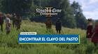 Kingdom Come Deliverance 2: �D�nde est� el clavo que establece los lindes del pasto?