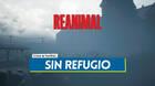Sin refugio en REANIMAL al 100 %: Walkthrough y coleccionables