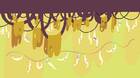 Nuevas imágenes de Hohokum