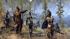 Lanzada la Gold Edition de The Elder Scrolls Online