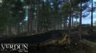 Verdun alcanza su versión final