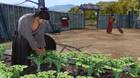 La demo de Yakuza Ishin ya está disponible en Japón