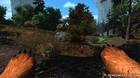 Bear Simulator no recibirá más actualizaciones de contenidos