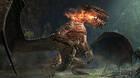 Dragon's Dogma Online muestra a dos enemigos en nuevas imágenes